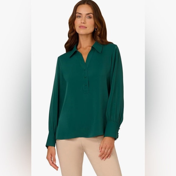 Adrianna Papell Green V-Neck Blouse - Long Sleeve - Size Small - Picture 1 of 11
